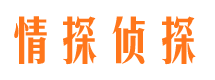 玉龙市侦探公司